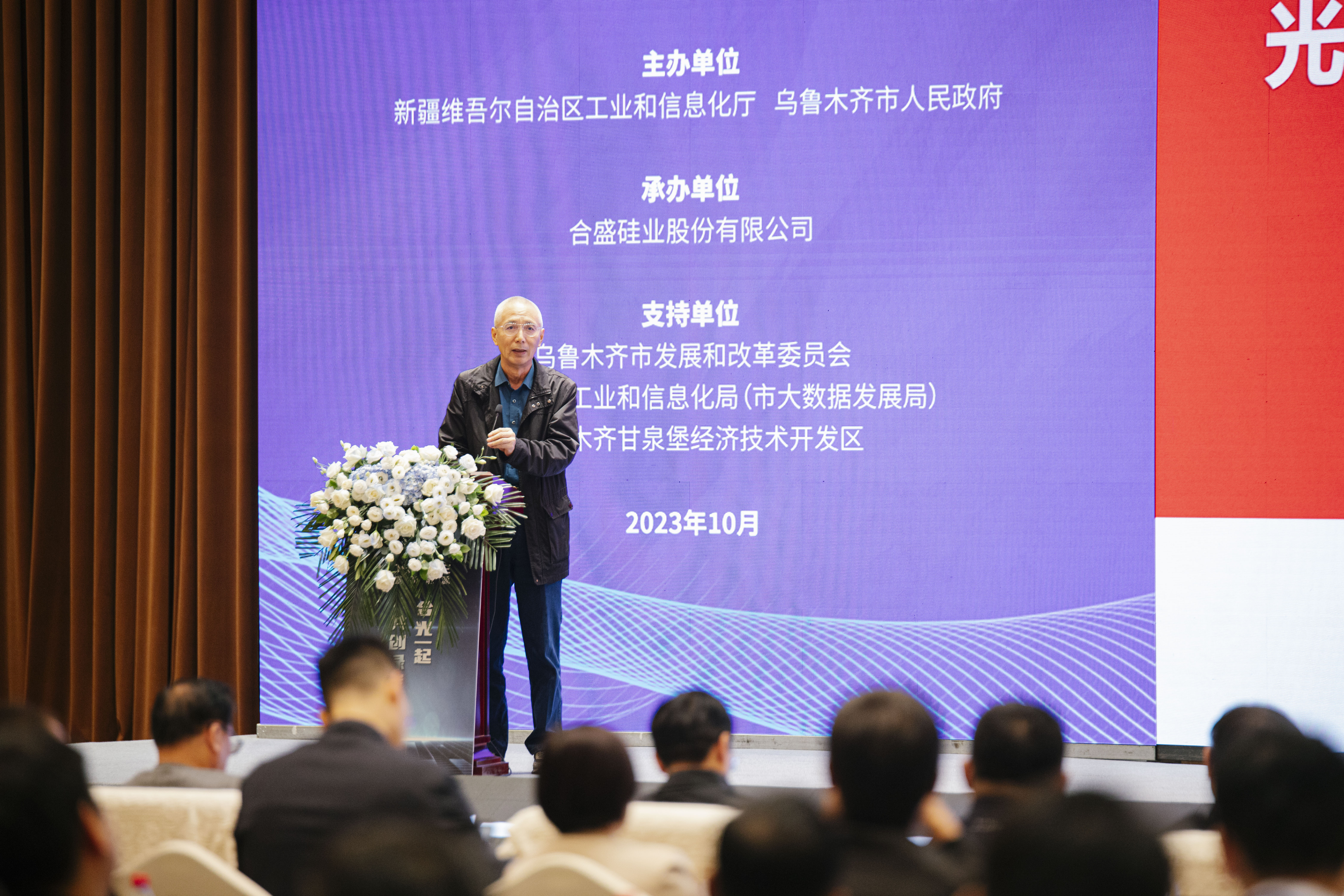 中國綠色供應鏈聯(lián)盟光伏專(zhuān)委會(huì )主任沈輝教授作主題分享.jpg
